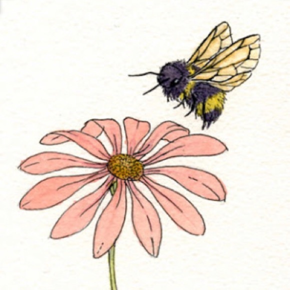 Meet your Posher, Corrie - Picture 1 of 1